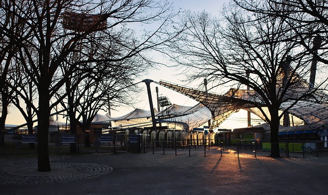 传球都展现