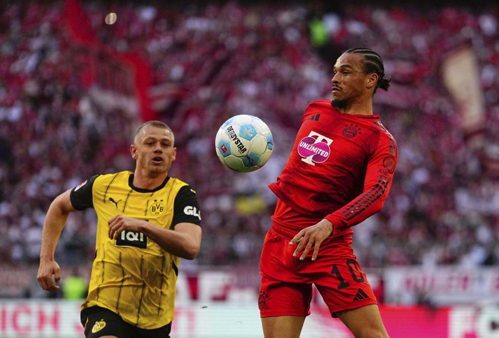 的职业运动 的职业运动